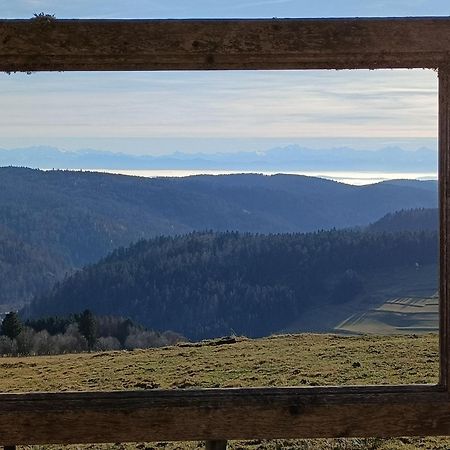 Апартаменты Sonnenstrahl Тодтмос Экстерьер фото