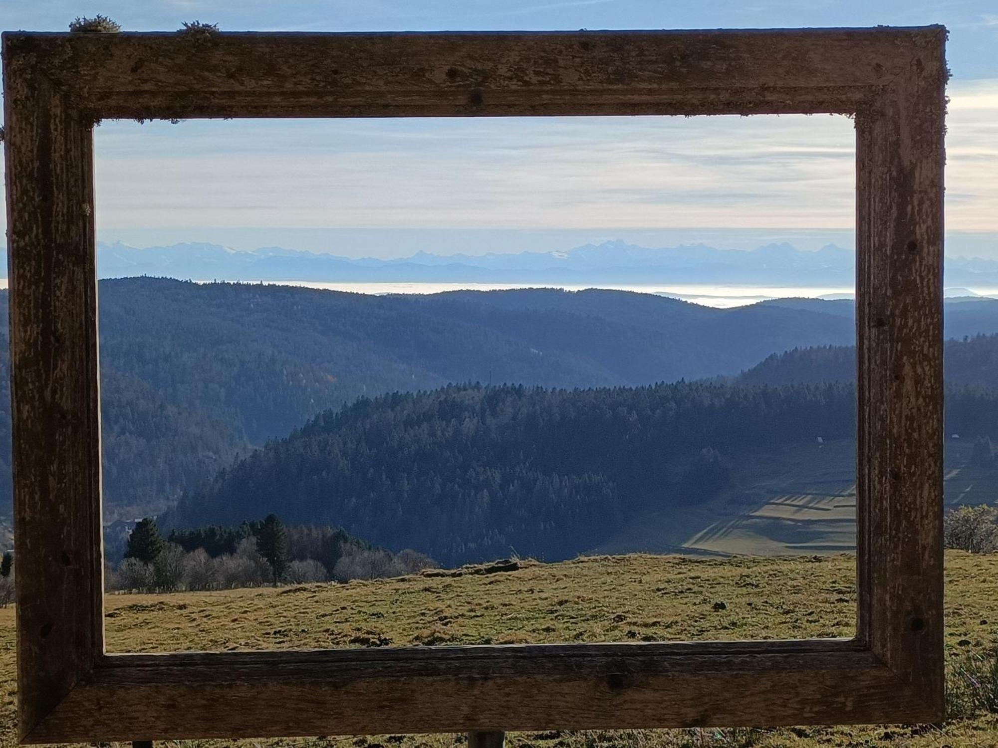 Апартаменты Sonnenstrahl Тодтмос Экстерьер фото
